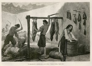 La preparación de la castradina, especialidad de carne de oveja y cabra salada y ahumada, hacia finales de octubre, en Dalmacia (Istria y Herzegovina (Croacia)), dibujo de Valerio, para ilustrar el viaje a Montenegro, en 1874, por Charles Yriarte