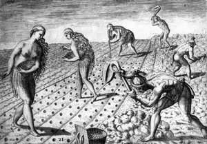 Agricultura entre los nativos de América del Sur - en “Admirante Narratio Americae”, por Théodore de Bry de Theodore de Bry