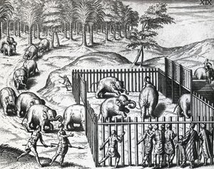 Caza de elefantes en el reino de Pegu de Theodore de Bry