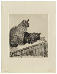 Dos gatos sobre un mueble