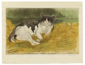 Viejo gato blanco y negro en la hierba de Théophile Alexandre Steinlen