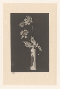 Flores en un jarrón con motivos chinos
La Chine de Théodore Roussel (signed by artist)