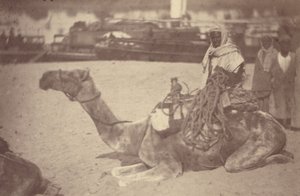 [Un norteafricano en camello a orillas del Nilo]. de Théodule Devéria