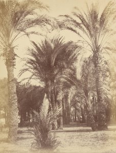 Gous de Théodule Devéria