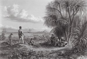 Australia: Campamento de exploradores (grabado) de Thomas (after) Baines