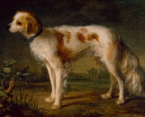 Un Spaniel en un Paisaje de Thomas (circle of) Gainsborough