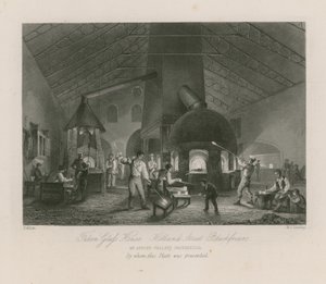 Casa de vidrio Falcon