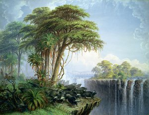 Imagen desconocida de Thomas Baines