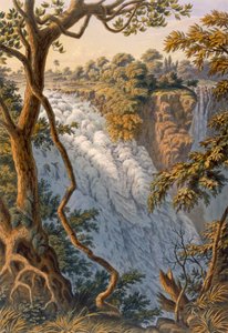 Cataratas Victoria: El agua saltante, pub. 1864 de Thomas Baines