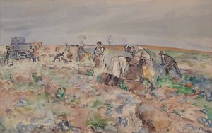 En el campo de patatas de Thomas Barclay Hennell
