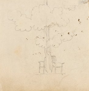 Estudio de un árbol con dos sillas a cada lado del tronco de Thomas Baxter