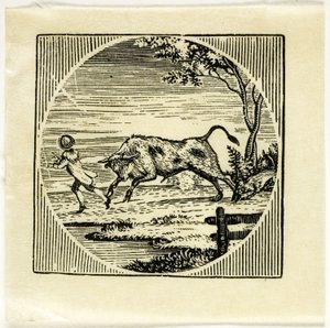 Ilustración de libro