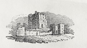 Ruinas del castillo de 