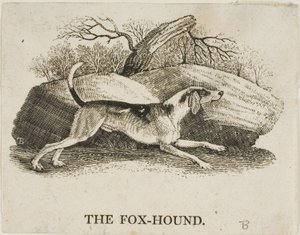 Perro de caza de Thomas Bewick
