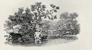 Pescando un salmón de 