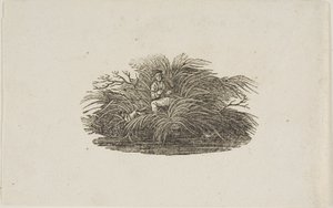 Colofón: Hombre en arbusto de Thomas Bewick