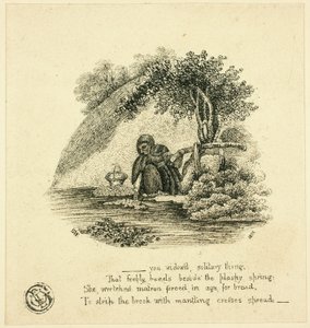 ...Cosa Solitaria Viuda de Thomas Bewick