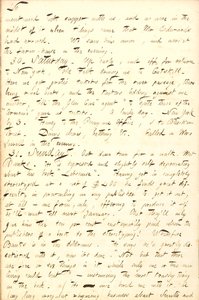 Diarios de Thomas Butler Gunn - Volumen 8, página 53, 29-31 de agosto de 1856