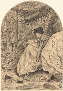 Dibujando de la naturaleza de Thomas C. Farrer
