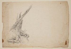 Tronco roto de un árbol (lápiz sobre papel) de Thomas Cole
