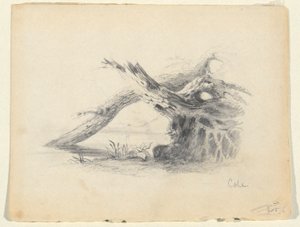 Bosquejo de dos árboles muertos de Thomas Cole