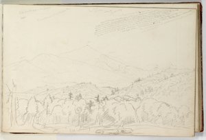 Vista de la Montaña Schroon mirando al norte 28 de junio de Thomas Cole