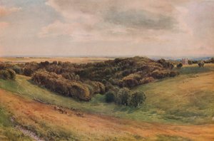 Parque de Arundel, 1874 de Thomas Collier