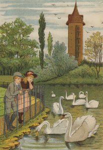 París: los cisnes