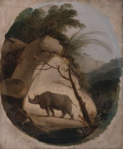 El rinoceronte indio de Thomas Daniell