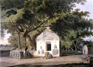 El árbol sagrado de los hindúes, en Gyah, Bahar, de 