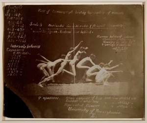 Fotografías de la Rueda de Marey de Modelo No Identificado, con Notas de Eadweard Muybridge, 1884 de Thomas Eakins