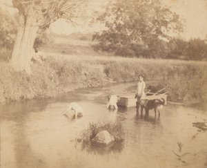 [Tres niños y un perro jugando en el arroyo, 4 de julio de 1883], 1883 de Thomas Eakins