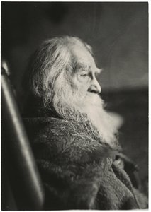Walt Whitman en Camden, Nueva Jersey de Thomas Eakins