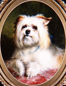 Una mirada ganadora de Thomas Earl