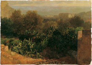 paisaje del sur con cactus