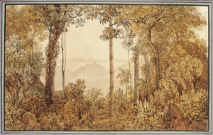 Vista sobre Río de Janeiro desde el bosque de Tijuca