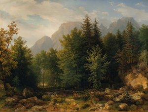 Paisaje forestal en las altas montañas.