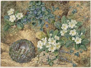 Naturaleza muerta de un nido de pájaros, pensamientos, prímulas y flores de manzano