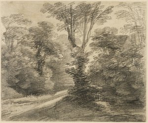 Un camino soleado a través de un bosque