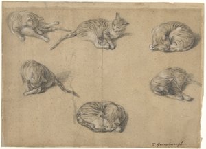Seis estudios de un gato de Thomas Gainsborough