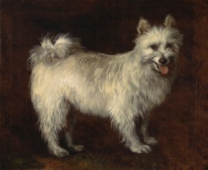 Perro Spitz, Un perro de Thomas Gainsborough