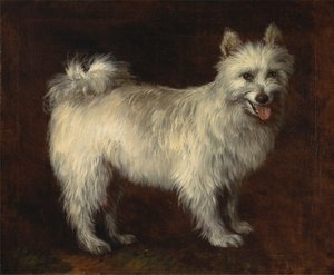 Perro Spitz de Thomas Gainsborough