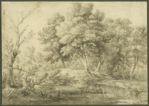 Paisaje boscoso con arroyo