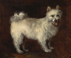 Perro Spitz de Thomas Gainsborough RA