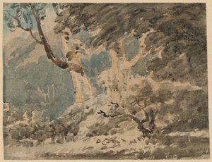 El borde de un bosque de Thomas Girtin