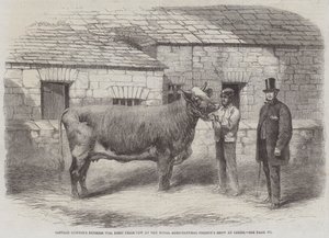 La duquesa 77 de Captain Gunter, primera vaca premiada en el Show de la Sociedad Agrícola Real en Leeds de Thomas Harrington Wilson
