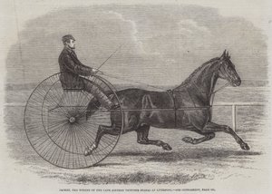 Jackey, el ganador de las últimas Aintree Trotting Stakes en Liverpool de Thomas Harrington Wilson