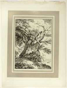 Árbol viejo, del primer número de Especímenes de Poliautografía de Thomas Hearne