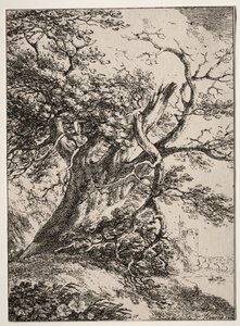 Especímenes de Poliautografía: Paisaje con un roble, 1803 de Thomas Hearne