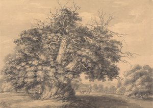El castaño de Little Wymondley, Hertfordshire de Thomas Hearne